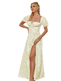 Flora Charm Dress